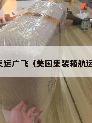 美国集运广飞（美国集装箱航运公司）