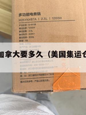 集运美国加拿大要多久（美国集运仓怎么收费）