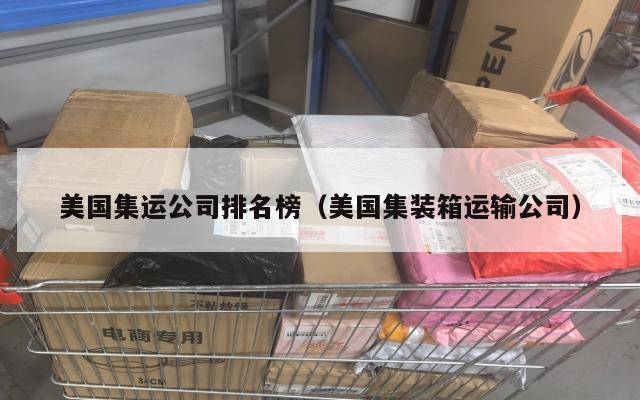 美国集运公司排名榜(美国集装箱运输公司)