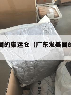 广东发美国的集运仓(广东发美国的集运仓在哪里)