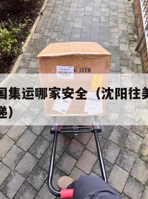 沈阳到美国集运哪家安全（沈阳往美国寄东西用什么快递）
