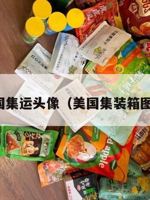 美国集运头像（美国集装箱图片）