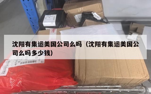 沈阳有集运美国公司么吗(沈阳有集运美国公司么吗多少钱)