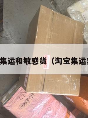 美国集运和敏感货(淘宝集运美国)