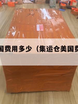 集运仓美国费用多少(集运仓美国费用多少钱一公斤)