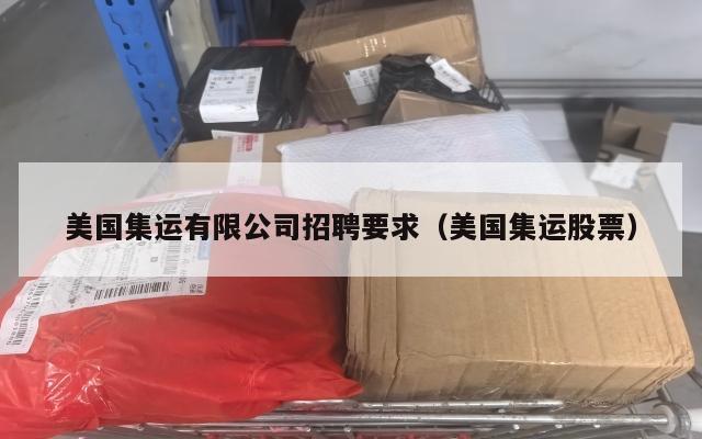 美国集运有限公司招聘要求(美国集运股票)
