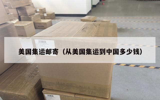 美国集运邮寄(从美国集运到中国多少钱)