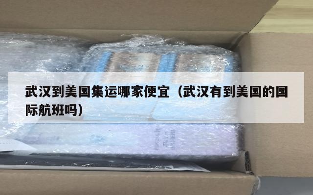武汉到美国集运哪家便宜(武汉有到美国的国际航班吗)