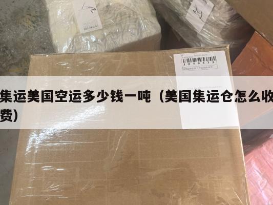 集运美国空运多少钱一吨(美国集运仓怎么收费)
