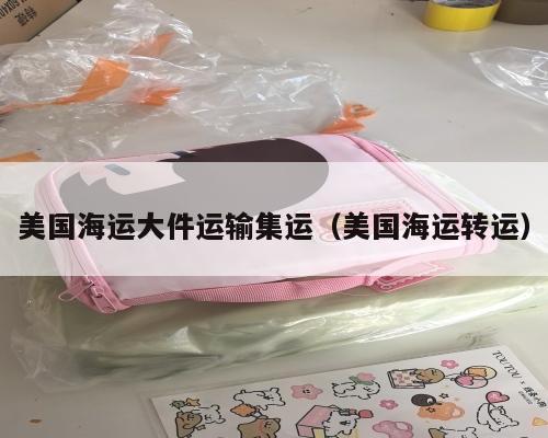 美国海运大件运输集运(美国海运转运)