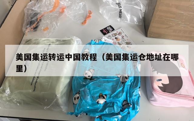 美国集运转运中国教程(美国集运仓地址在哪里)