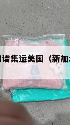 新加坡海运靠谱集运美国(新加坡海运到美国需多长时间)