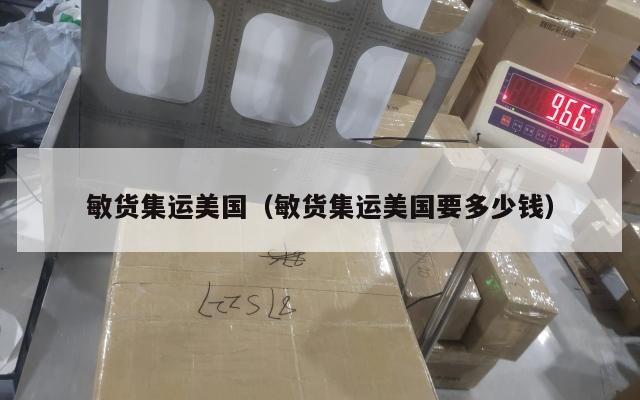 敏货集运美国(敏货集运美国要多少钱)