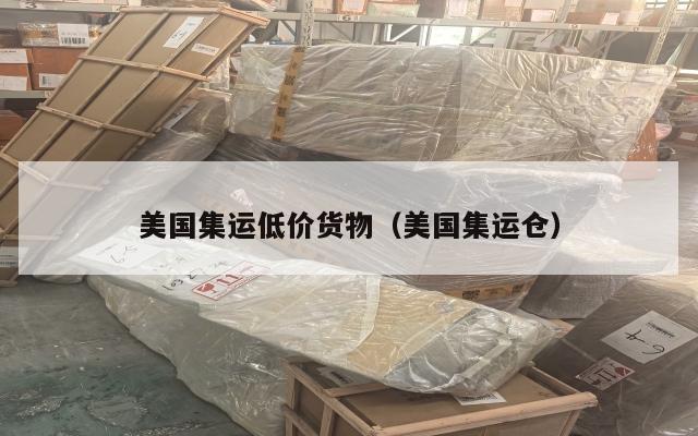 美国集运低价货物(美国集运仓)