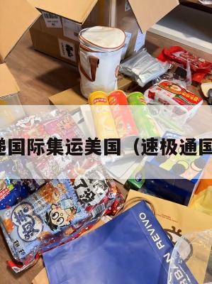 极速快递国际集运美国(速极通国际快递)