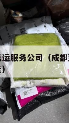 成都到美国集运服务公司(成都到美国集运服务公司怎么走)