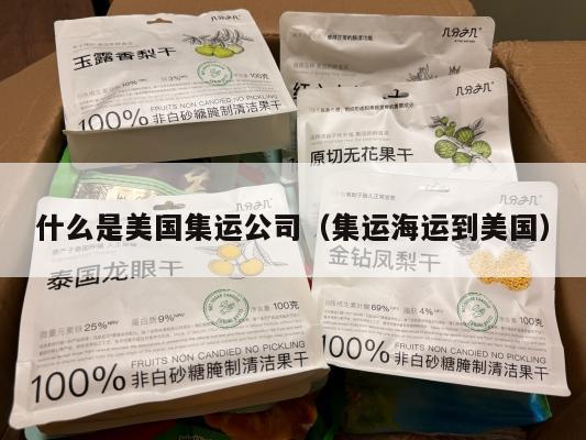 什么是美国集运公司(集运海运到美国)