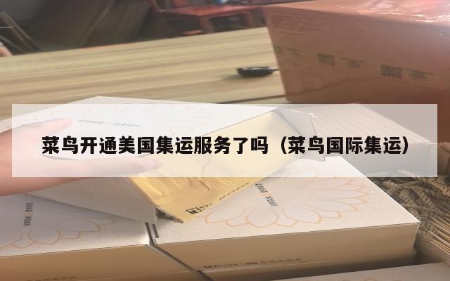 菜鸟开通美国集运服务了吗(菜鸟国际集运)