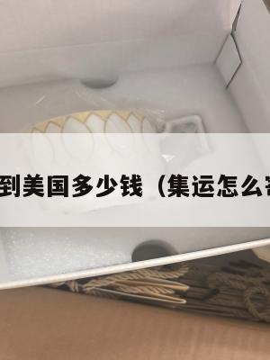快递集运到美国多少钱(集运怎么寄到美国)