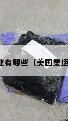 美国集运企业有哪些(美国集运仓怎么收费)