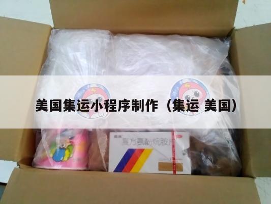 美国集运小程序制作(集运 美国)