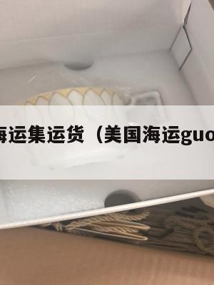 美国海运集运货（美国海运guojihuodi）