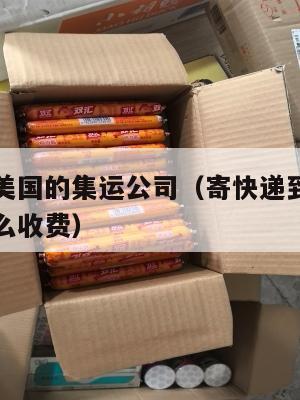 寄快递到美国的集运公司(寄快递到美国的集运公司怎么收费)