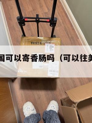 集运到美国可以寄香肠吗(可以往美国寄香肠吗)