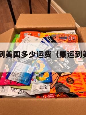 集运仓寄到美国多少运费(集运到美国的公司)