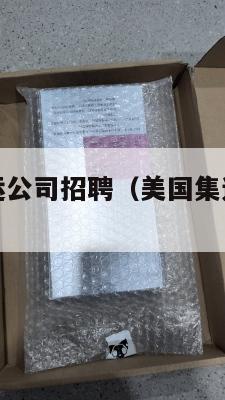 美国集运空运公司招聘（美国集运空运公司招聘要求）