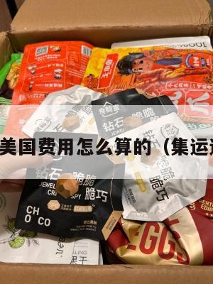 集运美国费用怎么算的（集运运价）