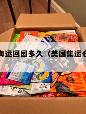 美国集运海运回国多久（美国集运仓怎么收费）