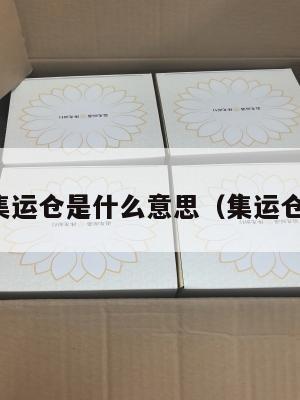 美国集运仓是什么意思(集运仓是啥)