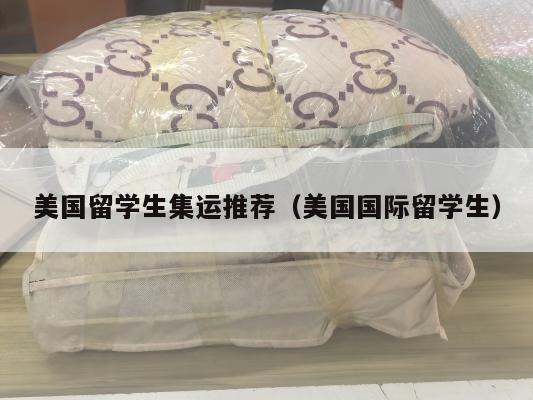 美国留学生集运推荐(美国国际留学生)