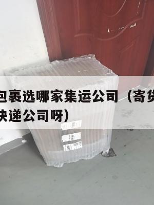 寄往美国包裹选哪家集运公司（寄货到美国选择哪一家快递公司呀）