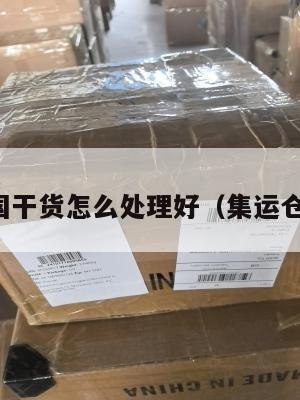 集运美国干货怎么处理好(集运仓发美国)