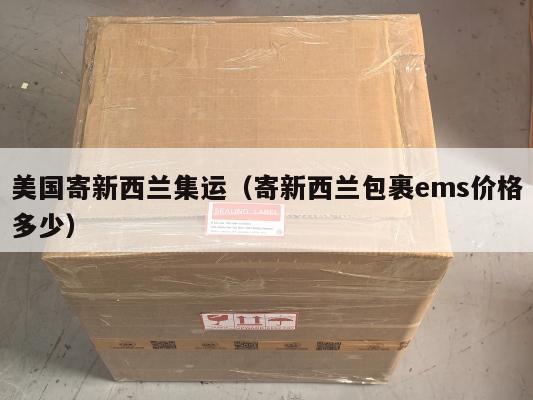 美国寄新西兰集运(寄新西兰包裹ems价格多少)