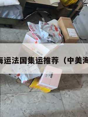 中美国海运法国集运推荐(中美海运物流)