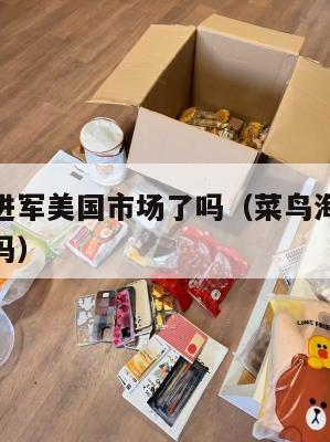 菜鸟集运进军美国市场了吗(菜鸟海外集货仓购物安全吗)