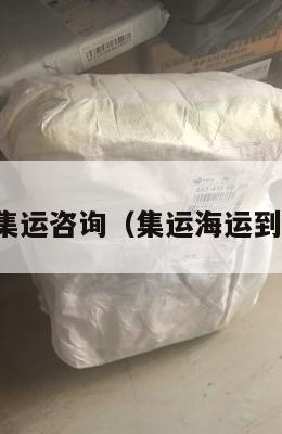 美国集运咨询(集运海运到美国)
