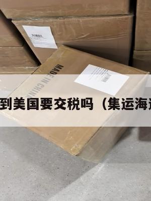 集运物品到美国要交税吗(集运海运到美国)