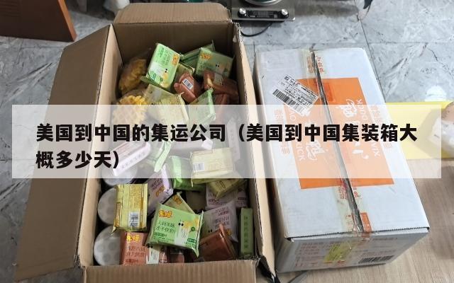 美国到中国的集运公司(美国到中国集装箱大概多少天)