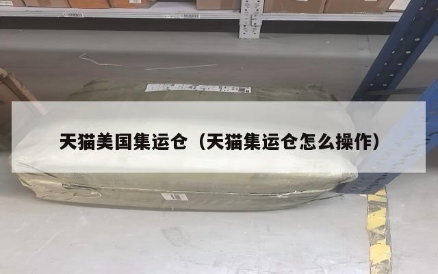 天猫美国集运仓(天猫集运仓怎么操作)