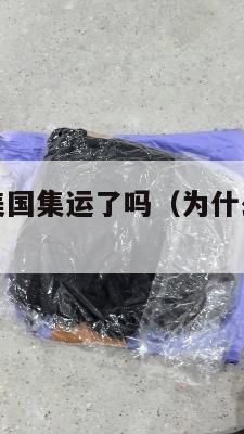 淘宝不支持美国集运了吗(为什么淘宝不发集运仓)