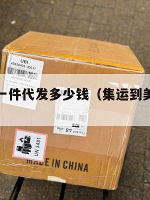 美国集运一件代发多少钱(集运到美国要多久)