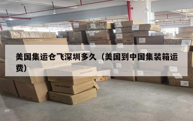 美国集运仓飞深圳多久(美国到中国集装箱运费)