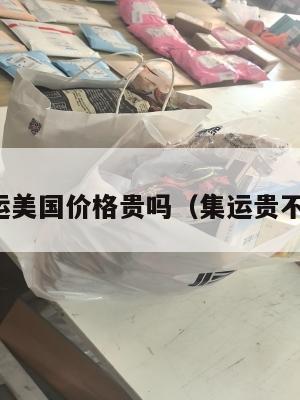 集运美国价格贵吗(集运贵不贵)