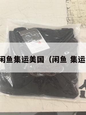 闲鱼集运美国(闲鱼 集运)