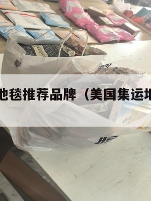 美国集运地毯推荐品牌(美国集运地毯推荐品牌有哪些)