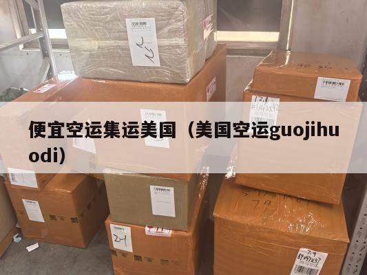 便宜空运集运美国(美国空运guojihuodi)